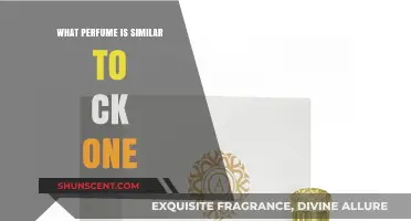 Discover Scents Like CK One: Top Unisex Perfume Alternatives