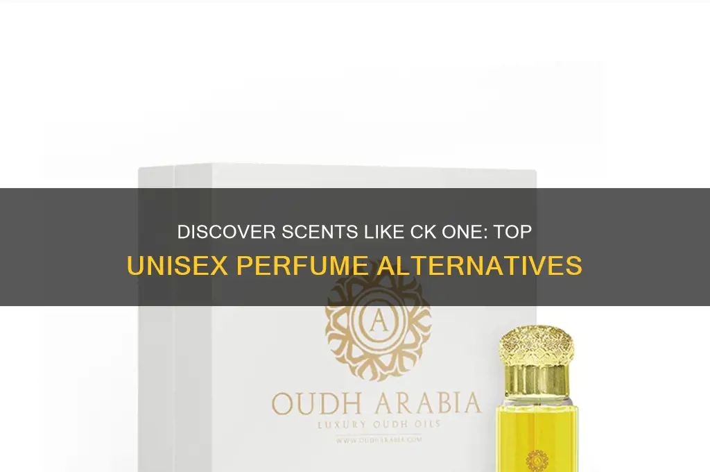 what perfume is similar to ck one