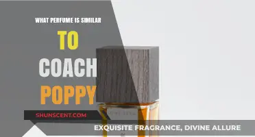 Discover Scents Like Coach Poppy: Top Floral Fragrance Alternatives