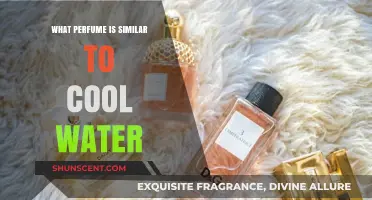 Discover Scents Like Cool Water: Top Aquatic Fragrance Alternatives