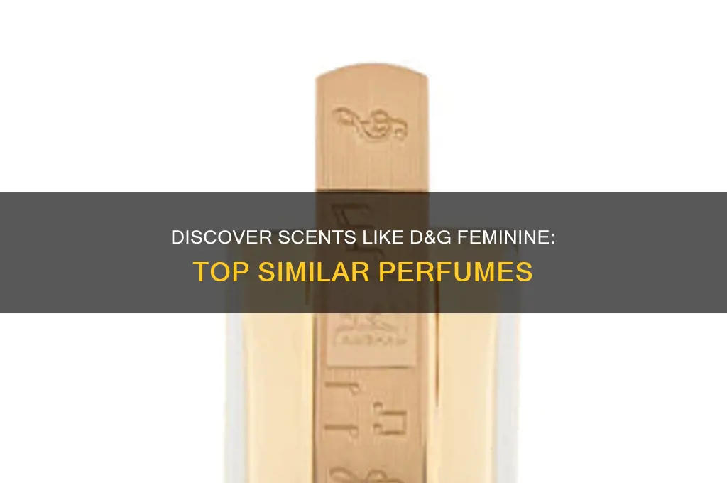 what perfume is similar to d&g feminine