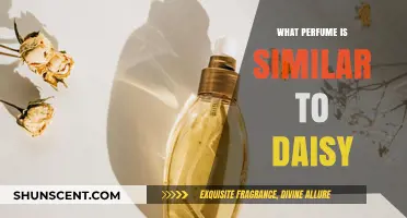 Discover Scents Like Daisy: Top Similar Perfumes to Try Now