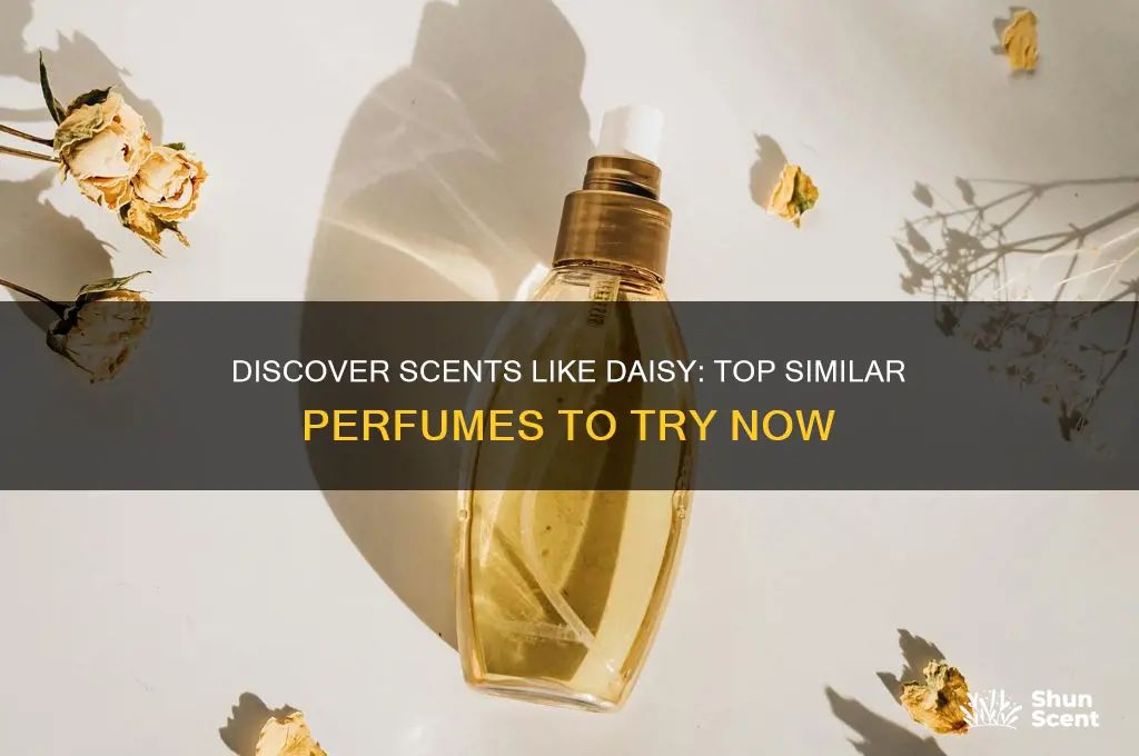 what perfume is similar to daisy
