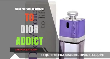 Discover Scents Like Dior Addict: Top Similar Perfumes to Try