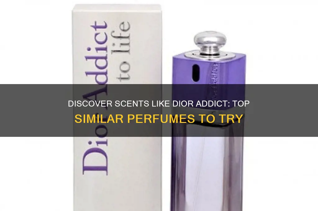 what perfume is similar to dior addict