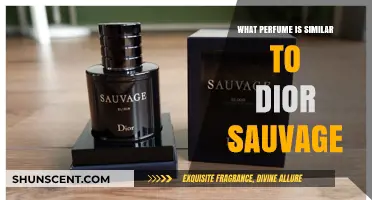 Discover Scents Like Dior Sauvage: Top Similar Perfumes to Try