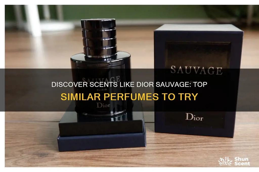 what perfume is similar to dior sauvage