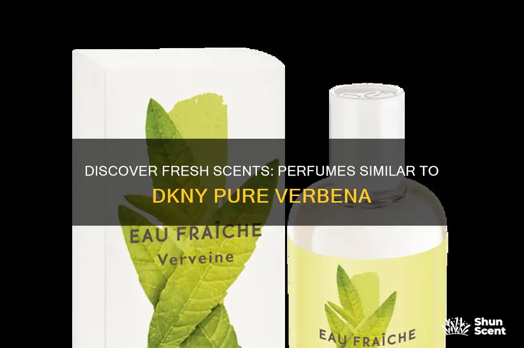 what perfume is similar to dkny pure verbena