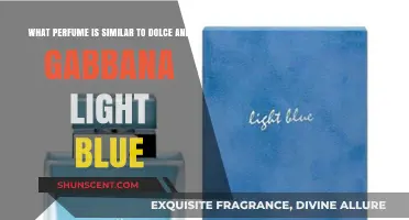 Discover Scents Like Dolce & Gabbana Light Blue: Top Alternatives