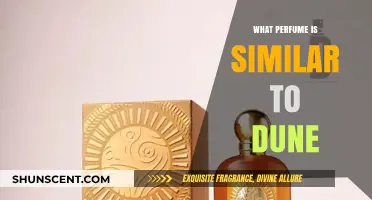 Discover Scents Like Dune: Top Similar Perfumes to Try