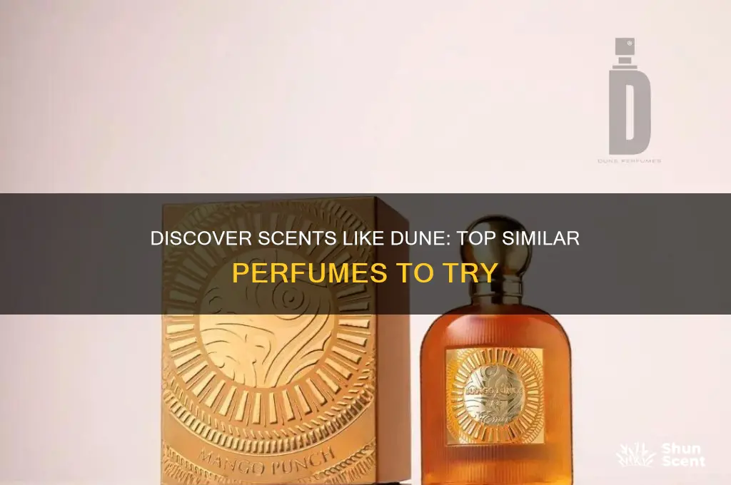 what perfume is similar to dune