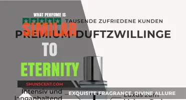 Discover Scents Like Eternity: Top Similar Perfumes to Try