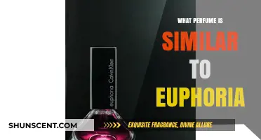 Discover Scents Like Euphoria: Top Similar Perfumes to Try