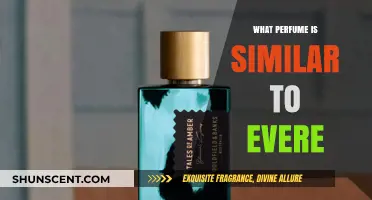 Discover Scents Like Evere: Top Similar Perfumes to Try Now