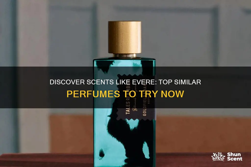what perfume is similar to evere