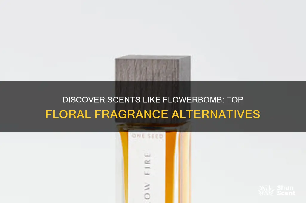 what perfume is similar to flowerbomb