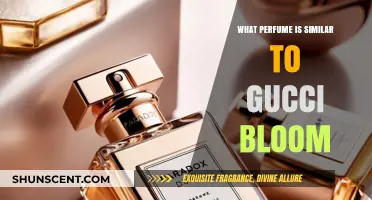 Discover Scents Like Gucci Bloom: Top Floral Fragrance Alternatives