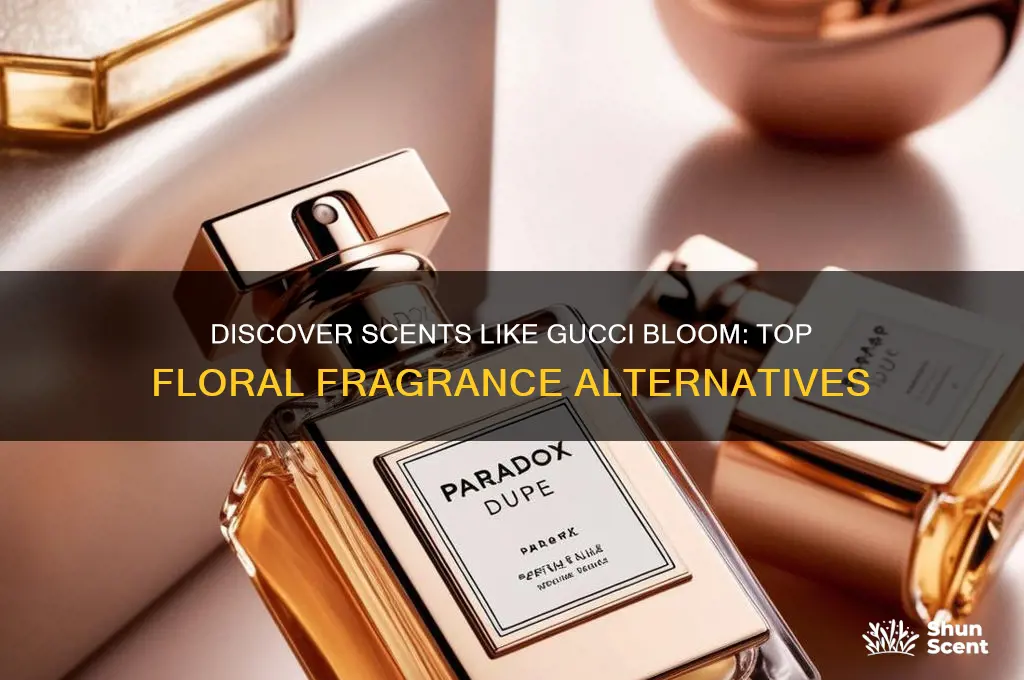what perfume is similar to gucci bloom