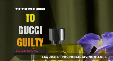 Discover Scents Like Gucci Guilty: Top Similar Perfumes to Try