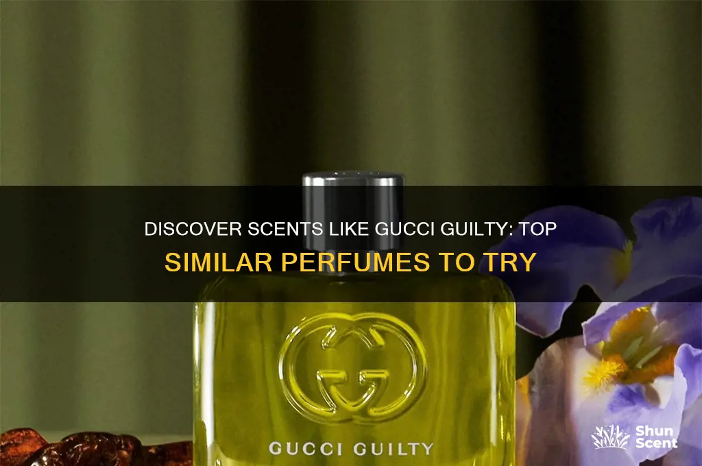 what perfume is similar to gucci guilty