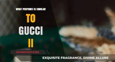 Discover Scents Like Gucci II: Top Similar Perfumes to Try