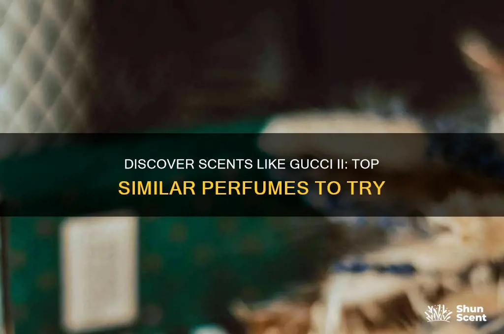 what perfume is similar to gucci ii