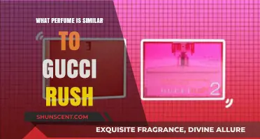 Discover Scents Like Gucci Rush: Top Similar Perfumes to Try