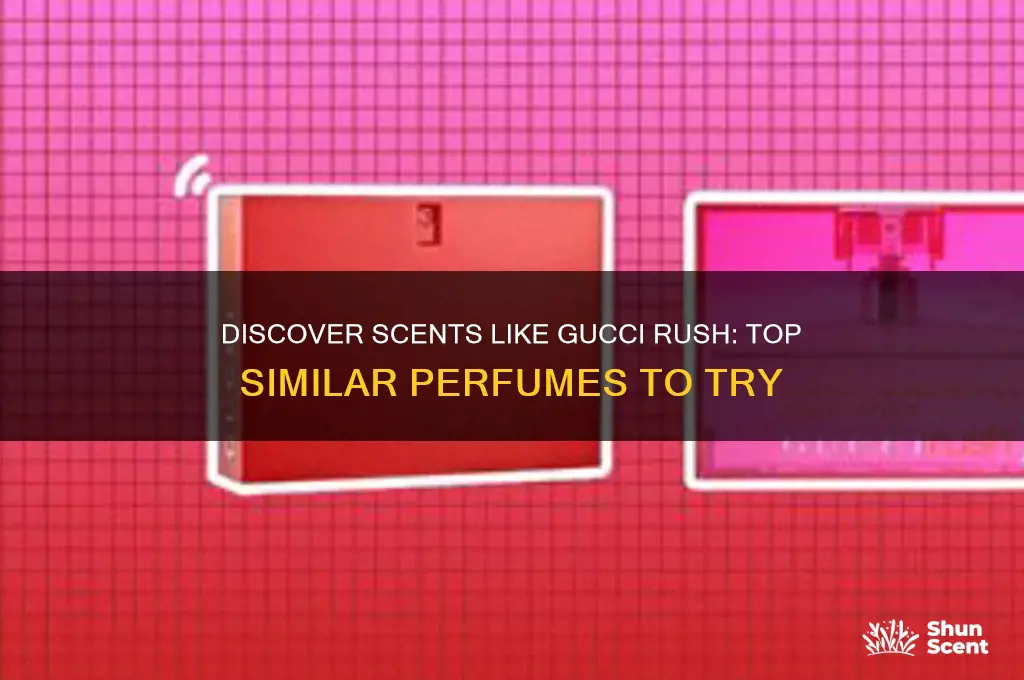 what perfume is similar to gucci rush
