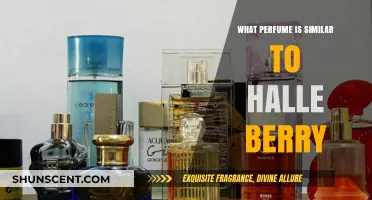 Discover Scents Like Halle Berry's Perfume: Top Similar Fragrances