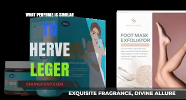 Discover Scents Like Herve Leger: Top Similar Perfumes to Try