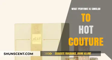Discover Scents Like Hot Couture: Top Similar Perfumes to Try