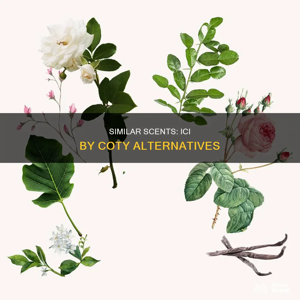 what perfume is similar to ici by coty