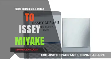 Discover Scents Like Issey Miyake: Top Similar Perfumes to Try