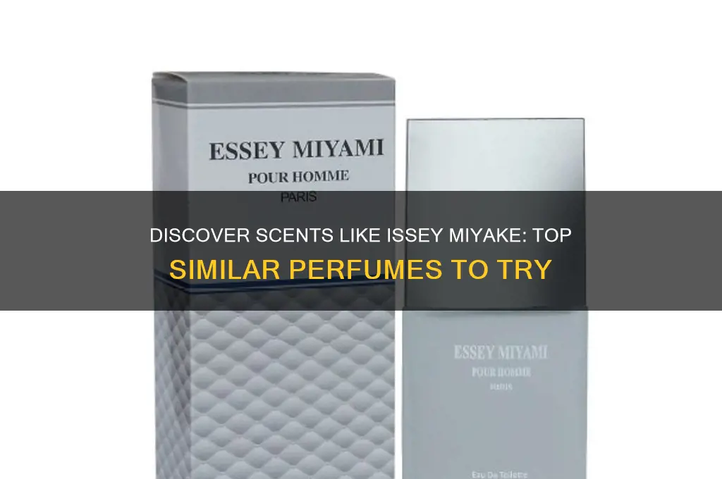 what perfume is similar to issey miyake