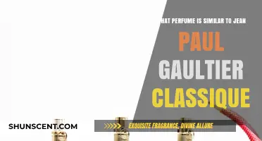 Discover Scents Like Jean Paul Gaultier Classique: Top Alternatives