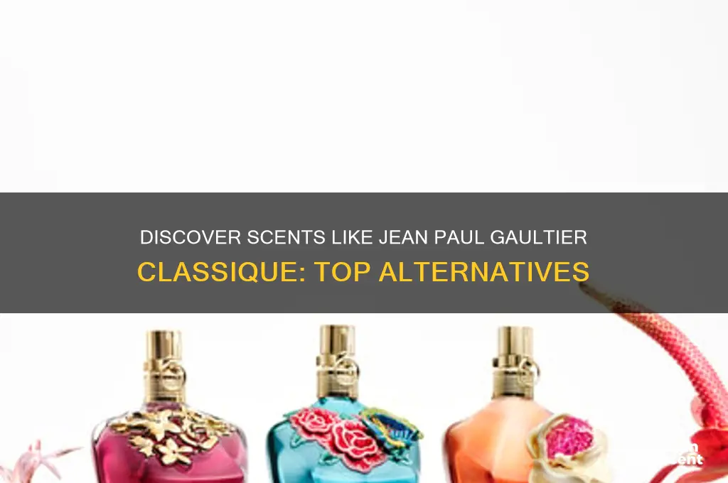 what perfume is similar to jean paul gaultier classique