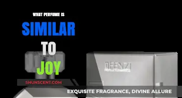 Discover Scents Like Joy: Top Similar Perfumes to Try Now