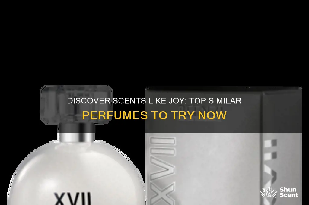 what perfume is similar to joy