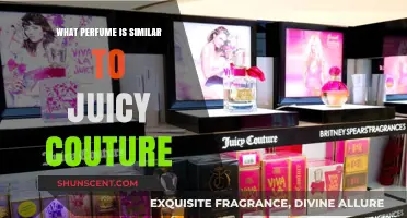 Discover Scents Like Juicy Couture: Top Similar Perfumes to Try