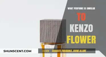 Discover Scents Like Kenzo Flower: Top Floral Fragrance Alternatives