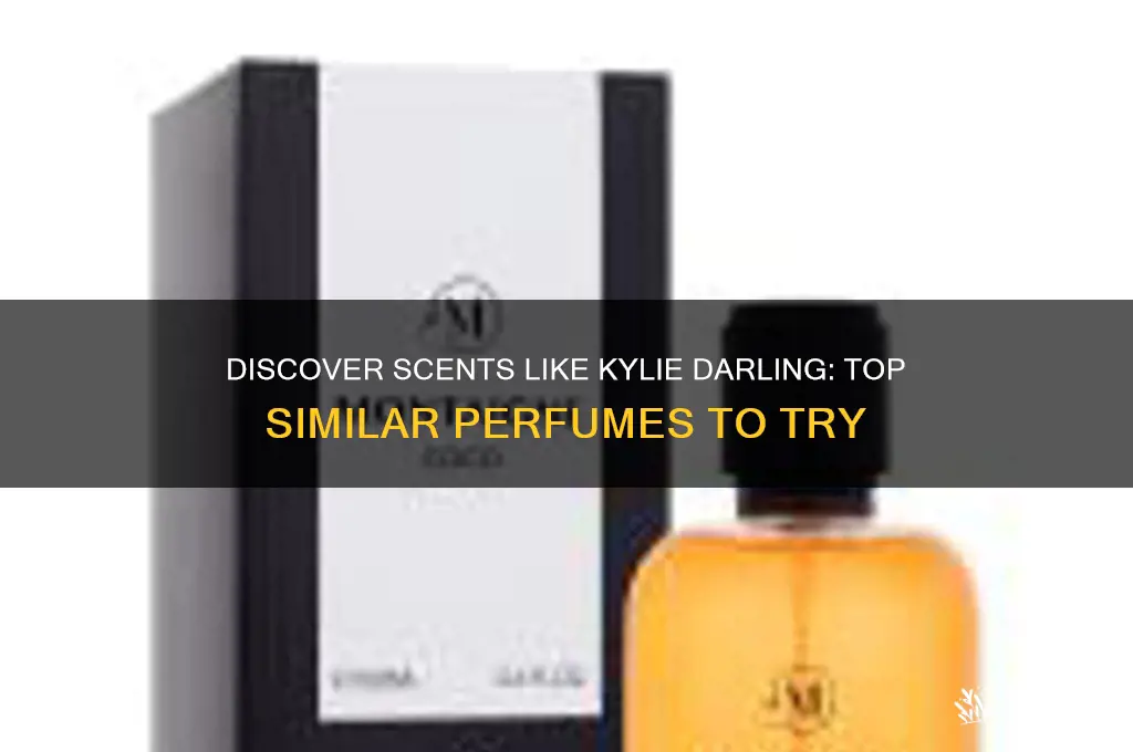 what perfume is similar to kylie darling