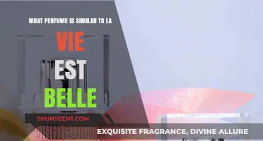 Discover Scents Like La Vie Est Belle: Top Similar Perfumes