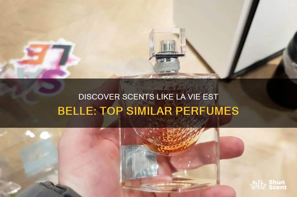 what perfume is similar to la vie est belle