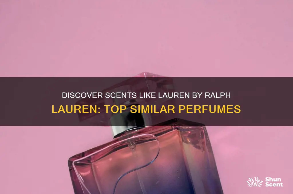 what perfume is similar to lauren by ralph lauren