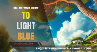 Discover Scents Like Light Blue: Top Similar Perfumes to Try