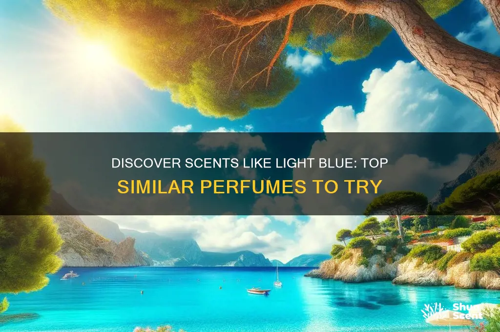 what perfume is similar to light blue