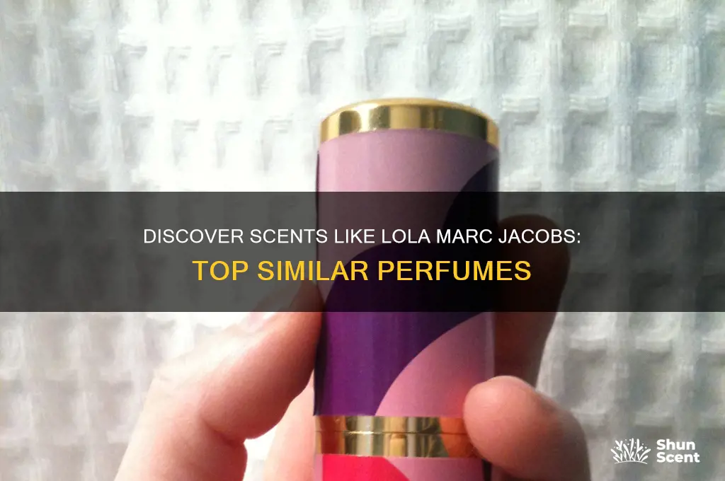what perfume is similar to lola marc jacobs