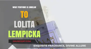 Discover Scents Like Lolita Lempicka: Top Similar Perfumes to Try