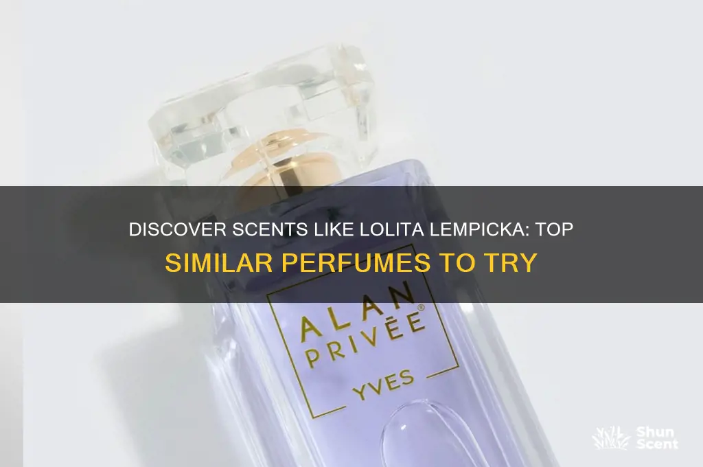 what perfume is similar to lolita lempicka