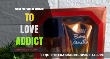 Discover Scents Like Love Addict: Top Similar Perfumes to Try